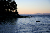 Camp Phoenix 2006